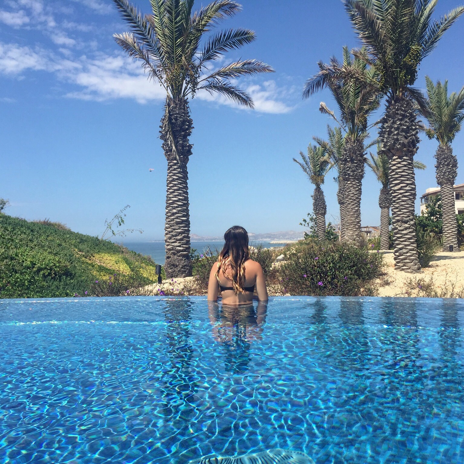 Highlights from Cabo [ + My top 5 Travel Tips for Babes on a Budget]