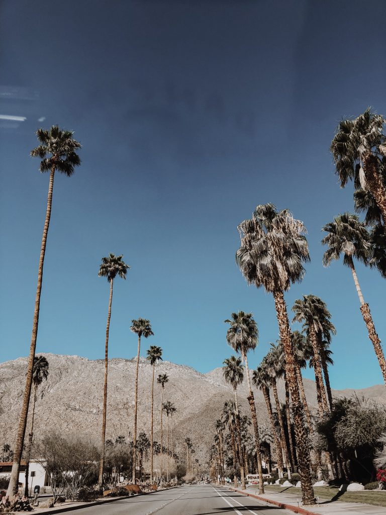 Friday Finds ( + Pics from Joshua Tree/Palm Springs!)